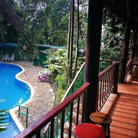 Hôtel Manuel Antonio Park House - Adults Only Extérieur photo