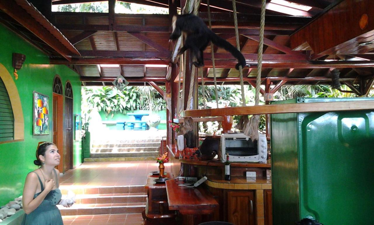 Hôtel Manuel Antonio Park House - Adults Only Extérieur photo