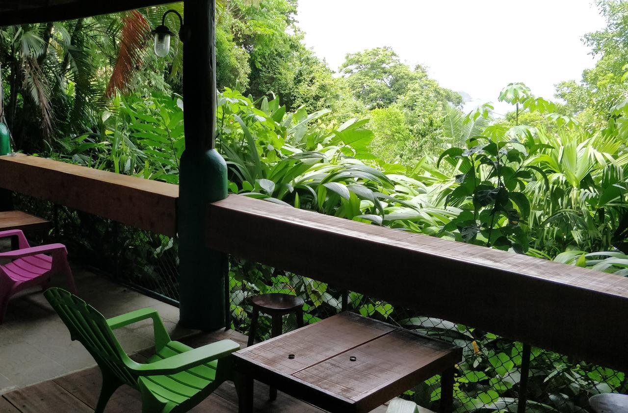 Hôtel Manuel Antonio Park House - Adults Only Extérieur photo