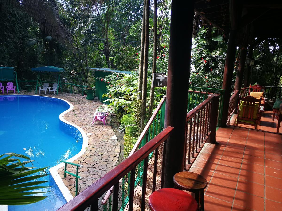 Hôtel Manuel Antonio Park House - Adults Only Extérieur photo